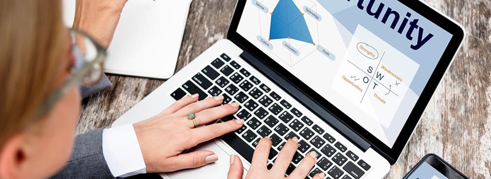 Close-up of a person analyzing a marketing strategy diagram on a laptop screen.